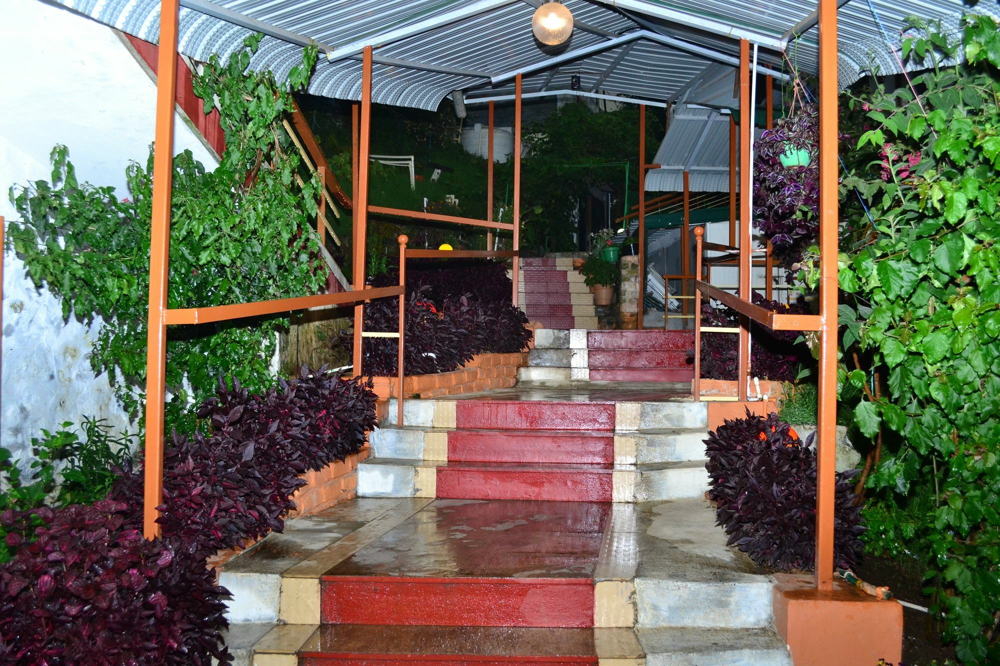 Kodai Sunshine Resort Tamilnadu - Tamilnadu - Kodaikanal Esterno foto